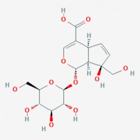 水晶兰苷 Monotropein 5945-50-6 C16H22O11