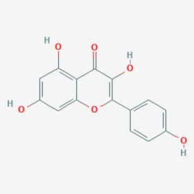 山奈酚 Kaempferol 520-18-3 C15H10O6