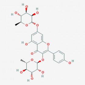 山奈苷 Kaempferitrin 482-38-2 C27H30O14