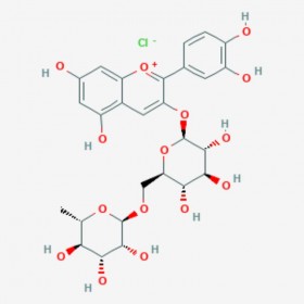 矢车菊素-3-O-芸香糖苷 Cyanidin-3-O-rutinoside chloride 18719-76-1  C27H31O15Cl