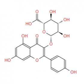 山奈酚葡萄糖醛酸苷 Kaempferol-3-beta-O-glucuronide 22688-78-4  C21H18O12