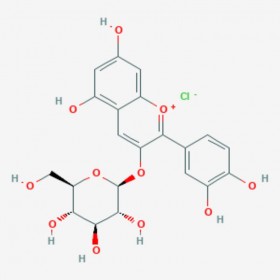 矢车菊素-3-O-葡萄糖苷 Cyanidin-3-O-glucoside chloride 7084-24-4 C21H21ClO11