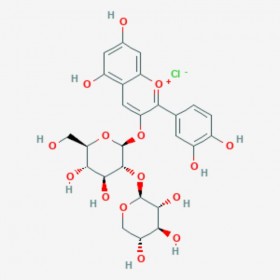 矢车菊素-3-桑布双糖苷  Cyanidin-3-O-sambubioside chloride  33012-73-6 C26H29O15.Cl