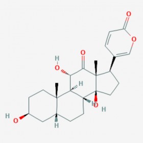 沙蟾毒精 Arenobufagin 464-74-4 C24H32O6