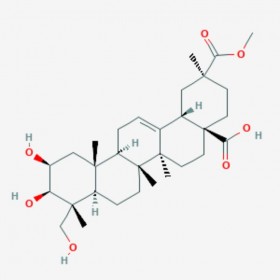 商陆皂苷元 Phytolaccagenin  1802-12-6 C31H48O7