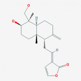 脱水穿心莲内酯 Dehydroandrographolide 134418-28-3 C20H28O4