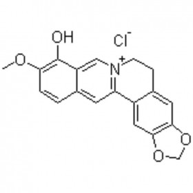 小檗红碱 Berberrubine chloride 15401-69-1 C19H16NO4.Cl