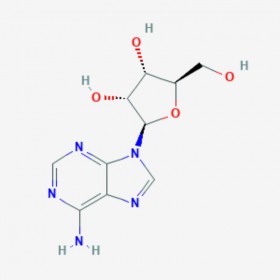 腺苷 Adenosine 58-61-7 C10H13N5O4