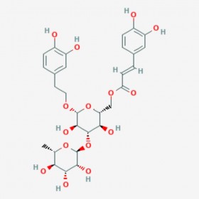 异毛蕊花糖苷 Isoacteoside 61303-13-7 C29H36O15