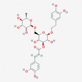 异连翘酯苷A Isoforsythiaside 1357910-26-9 C29H36O15