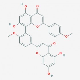 异银杏双黄酮 Isoginkgetin 548-19-6 C32H22O10