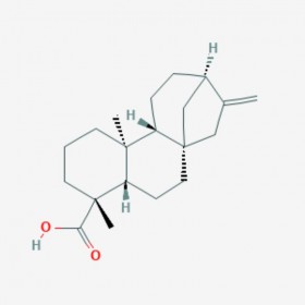 异贝壳杉烯酸   Kaurenoic acid 6730-83-2 C20H30O2