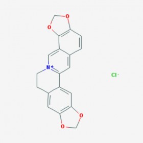 盐酸黄连碱 Coptisine chloride 6020-18-4 C19H14ClNO4