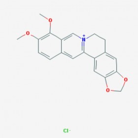 盐酸小檗碱 Berberine hydrochloride 633-65-8 C20H18ClNO4