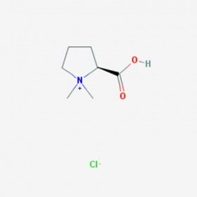 盐酸水苏碱 Stachydrine hydrochloride  4136-37-2 C7H14ClNO2