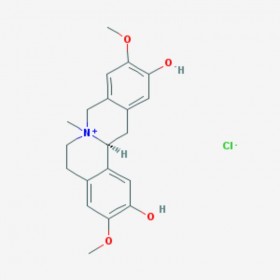 盐酸黄柏碱 Phellodendrine chloride 104112-82-5 C20H24NO4.Cl