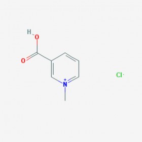 盐酸葫芦巴碱 Trigonelline Hydrochloride  6138-41-6 C7H8ClNO2