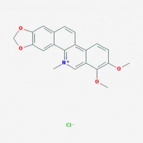 盐酸白屈菜红碱 Chelerythrine chloride 3895-92-9 C21H18ClNO4