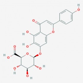 野黄芩苷 Scutellarin 27740-01-8 C21H18O12