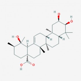 野鸦椿酸 Euscaphic acid 53155-25-2 C30H48O5