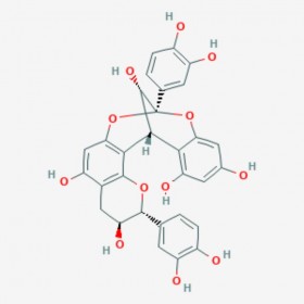 原花青素A1 Proanthocyanidin A1 103883-03-0 C30H24O12