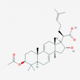 3-O-乙酰基-16Α-羟基松苓新酸 3-O-Acetyl-16α-hydroxydehydrotrametenolic acid 168293-14-9 C32H48O5