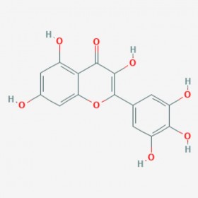 杨梅素 Myricetin 529-44-2 C15H10O8