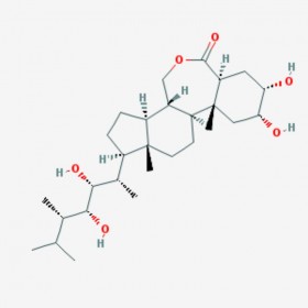 芸苔素内酯 Epibrassinolide 72962-43-7 C28H48O6