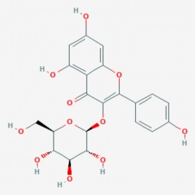 紫云英苷 Astragalin 480-10-4 C21H20O11