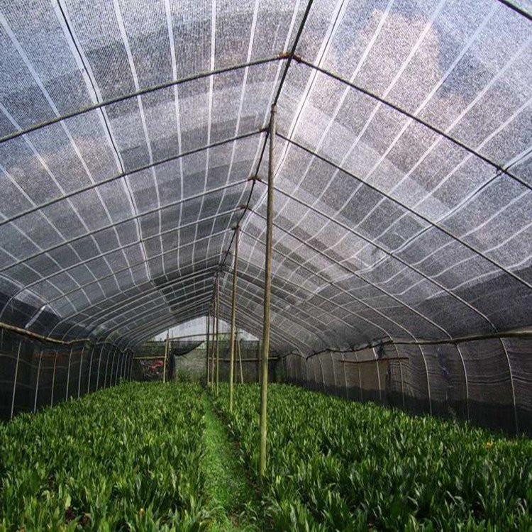 农用加密养殖隔热遮阳网 垃圾覆盖环保网 大棚盖土网 耐腐蚀保温