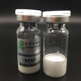 重组人碱性成纤维细胞生长因子 BFGF 合成人多肽-1 Sh-polypeptide-1
