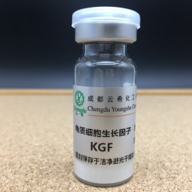 重组人角质细胞生长因子 KGF-2 合成人多肽-10 Sh-polypeptide-10