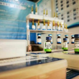 N-苄基十六烷酰胺丨74058-71-2丨厂家|价格-成都普菲德