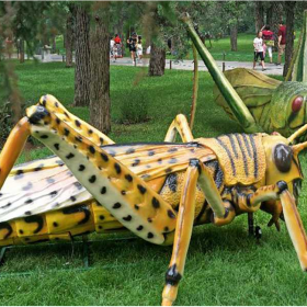 大型仿真动物 海川龙景科技 大型仿真动物 仿真模型 仿真昆虫供应商
