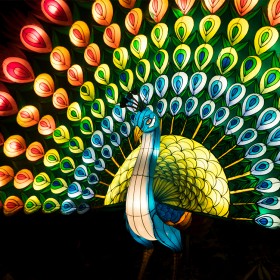 彩灯灯会策划设计制作 大中型灯展会节活动及彩灯工艺品 海川龙景科技