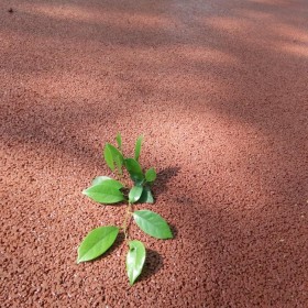 昆明市丽江市彩色透水混凝土  透水地坪粘接料厂家  透水砼颜色料 透水地坪粘接胶 透水地坪报价 批发价格