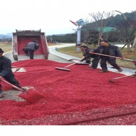 重庆市北碚区 彩色透水混凝土直销 彩色透水路面加强剂 透水混凝土路面施工 透水路面增强剂 材料厂家全国施工