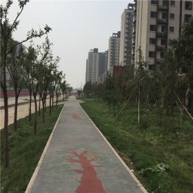 绵阳市 生态透水混凝土 路艺厂家现货 彩色透水混凝土路面施工 透水地坪材料 厂家直供 价格优惠