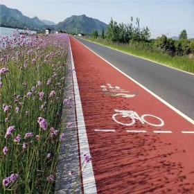 沙坪坝区  透水混凝土 彩色透水混泥土 透水混凝土胶凝剂 透水砼增强剂