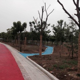 邛崃市 彩色混凝土压花路面 压花地坪 公路材料建材压花地坪 透水混泥土