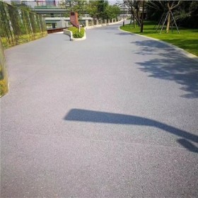 透水性混凝土彩色路面 露骨彩色透水混凝土 生态透水地坪 工程案例