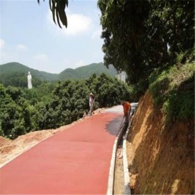 彩色压印混凝土 水性彩色防滑路面 彩色透水混凝土 透水彩色沥青 专业的生产厂家