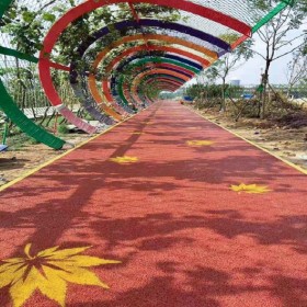 彩色混凝土路 车行彩色透水混凝土 无砂透水混凝土 海绵城市透水混凝土