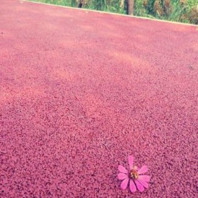 路面彩色透水混凝土 海绵城市透水砼 生态透水混凝土粘接剂 材料配比