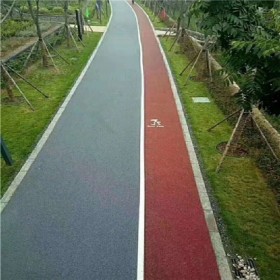 天然露骨透水路面 彩色透水地坪罩面剂 透水混凝土厂家直销