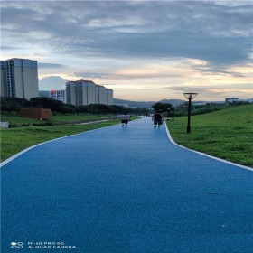 混凝土透水地坪 彩色地面透水混凝土 生态透水路面 设计方案
