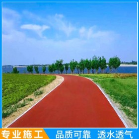 徐州市 生态透水混凝土 彩色透水地面 无砂透水混凝土 露骨彩色透水混凝土 施工方案