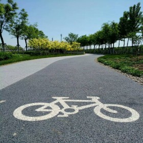 资阳市 露骨彩色透水混凝土 生态透水混凝土 彩色整体透水路面 透水混泥土施工公司