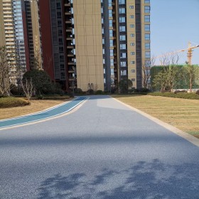 大英县 透水混凝土绿道 室外透水路面 彩色混凝土罩面剂 免费辅导 量大从优