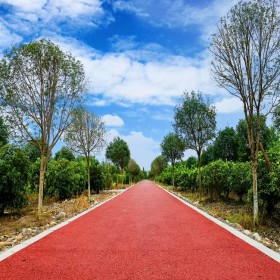 仁怀市 露骨透水路面 透水混凝土地坪 彩色混凝土颜色料 厂家批发